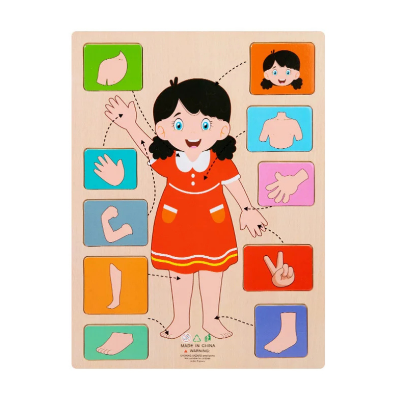 Body Puzzle – Montessori Human Body Wooden Puzzle for Hands-On Learning