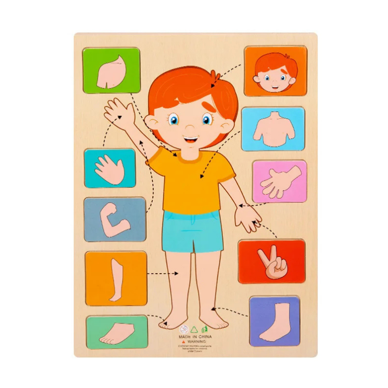 Body Puzzle – Montessori Human Body Wooden Puzzle for Hands-On Learning